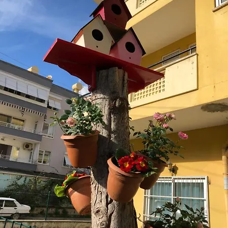 Akpolat Aparthotel 2*