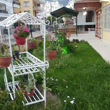 Akpolat 2*