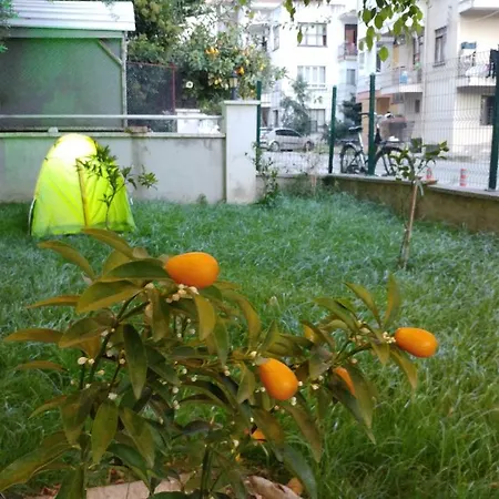 아파트호텔 Akpolat 알란야