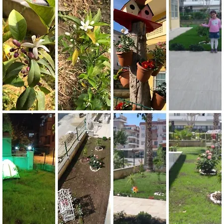 Akpolat 아파트호텔 알란야